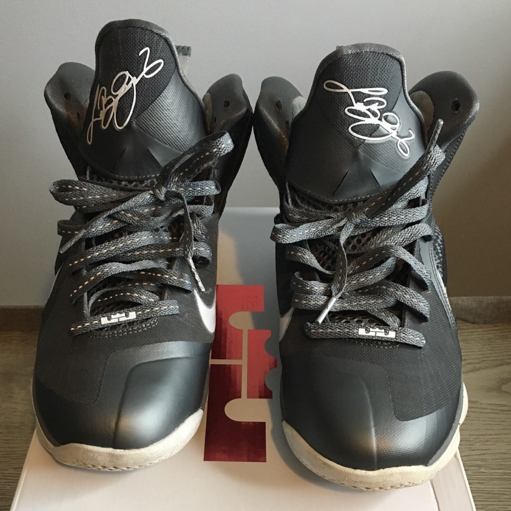 Lebron James (cool grey 9s)